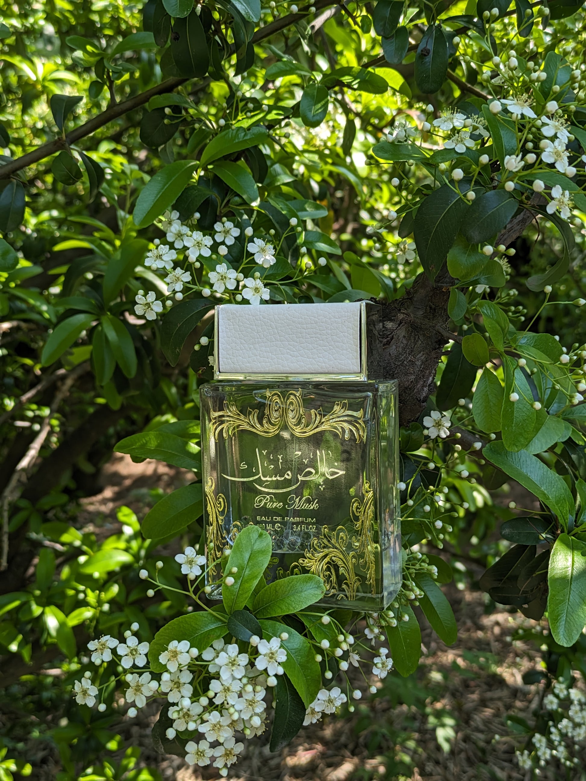 Fragrance fraîche et raffinée pour tous les jours